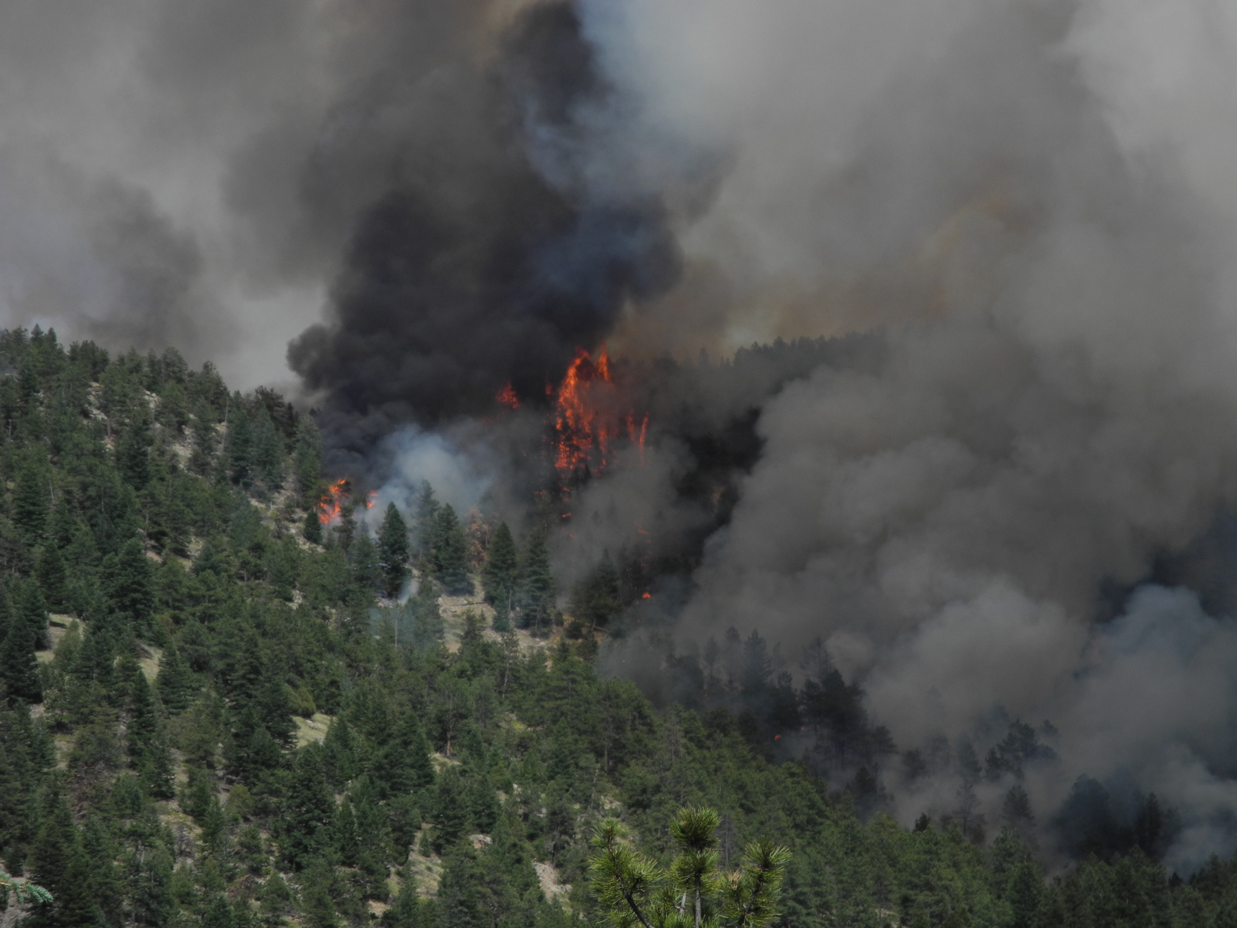 Flagstaff Fire, June 26th, 2012